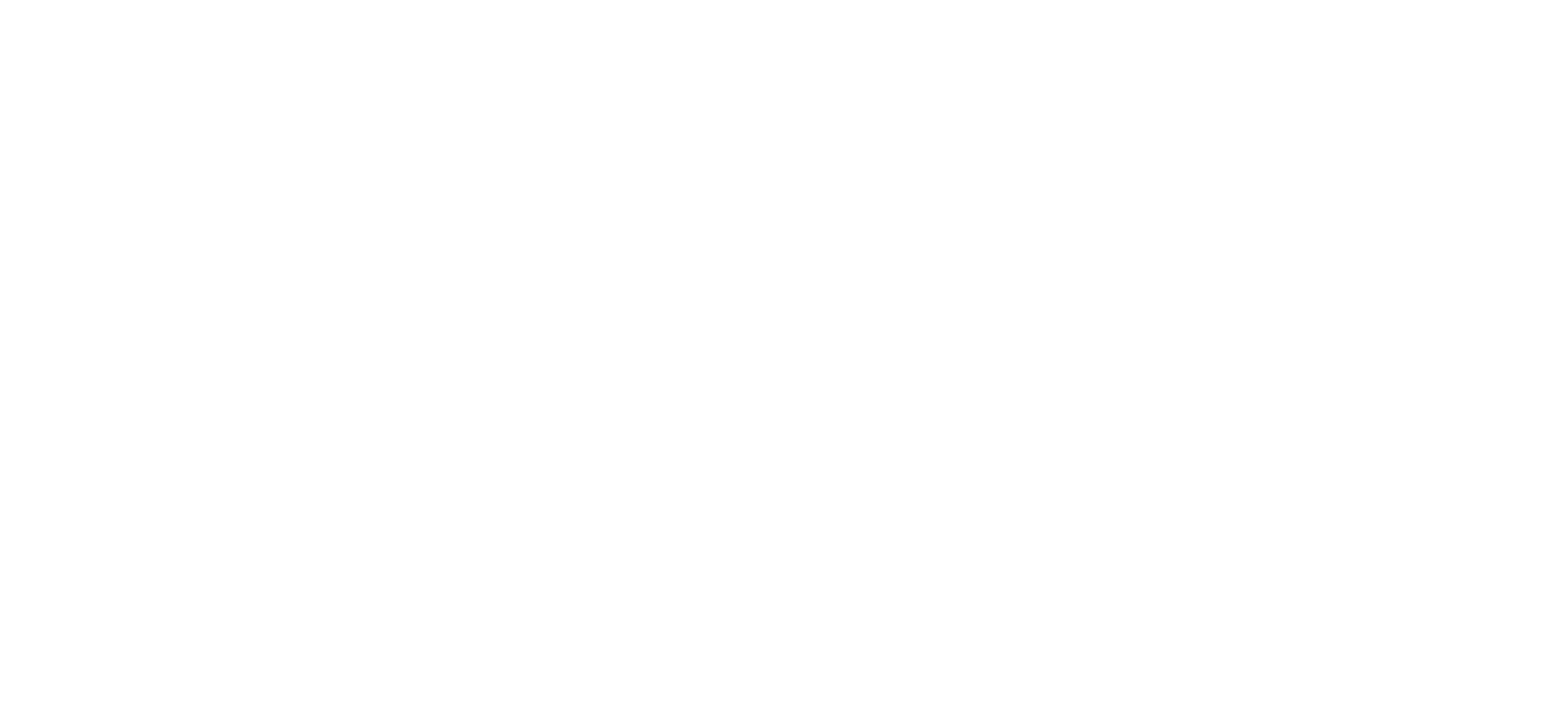 ig Sky Doors white logo with stylized mountain and door icon, used in website footer branding.